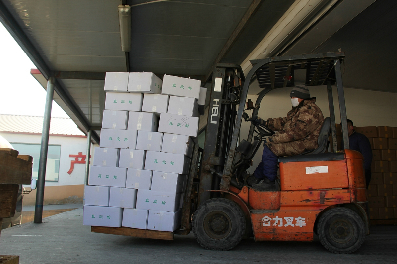 丹东台励福叉车电瓶型号齐全