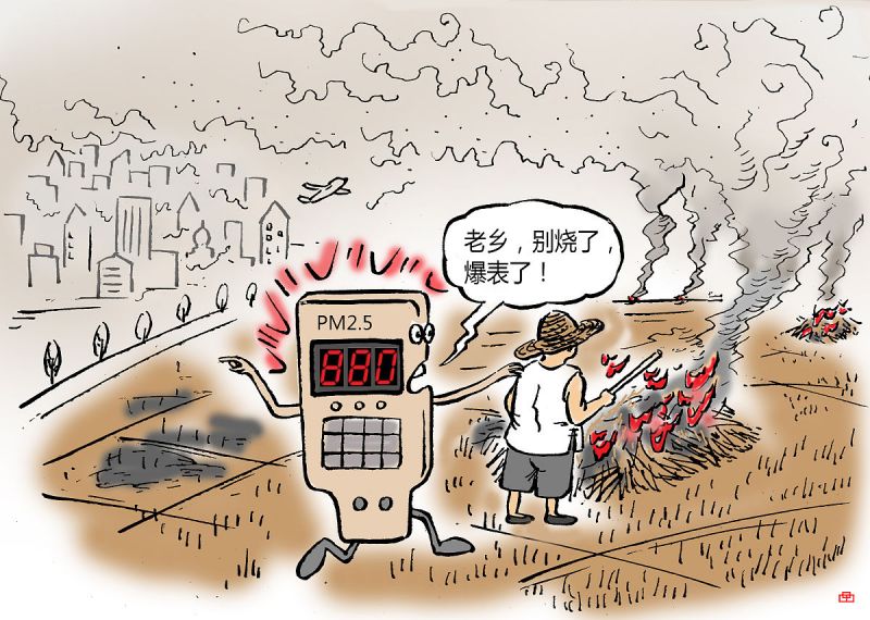 随州台励福叉车电瓶品质保障